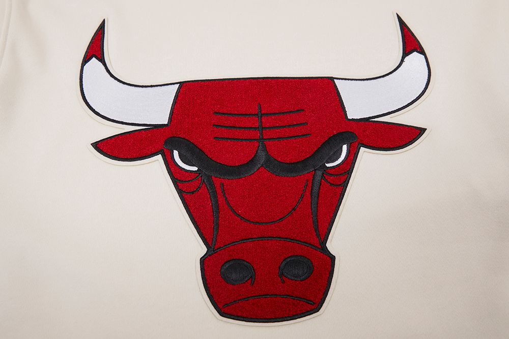 Off White Chicago Bulls Pro Standard Pullover Fleece Hoodie