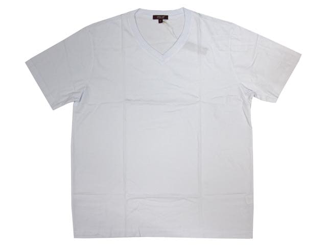 Ice White CITYLAB USA Premium Pre Shrunk T-Shirt, V Neck