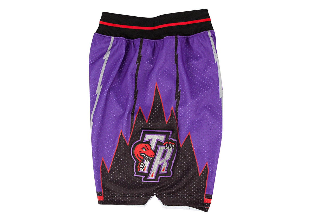 Purple Toronto Raptors Mitchell & Ness NBA Men's Authentic NBA Shorts