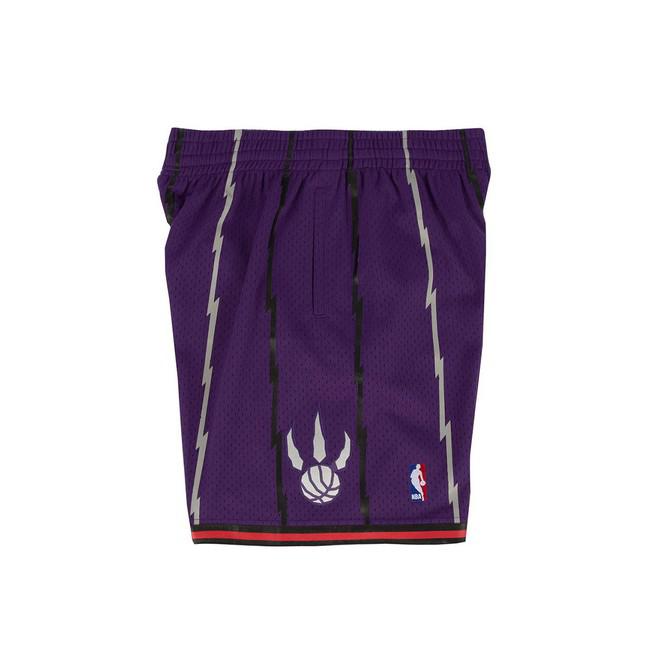 Toronto Raptors 1998 - 99 Mitchell & Ness Purple Swingman Shorts