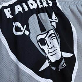 Mitchell & Ness Big Face Oakland Raiders Gray Shorts