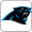 Carolina Panthers
