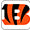 Cincinnati Bengals