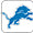 Detroit Lions