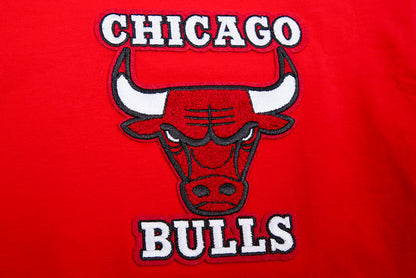 Red Chicago Bulls Retro Classic SJ Striped T-Shirt