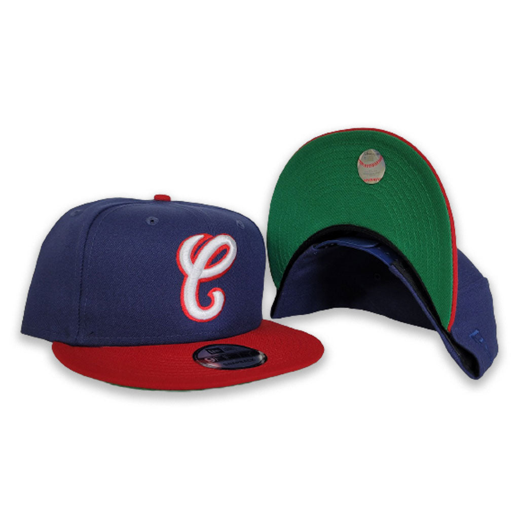 Chicago White Sox Green Bottom New Era 9Fifty Snapback