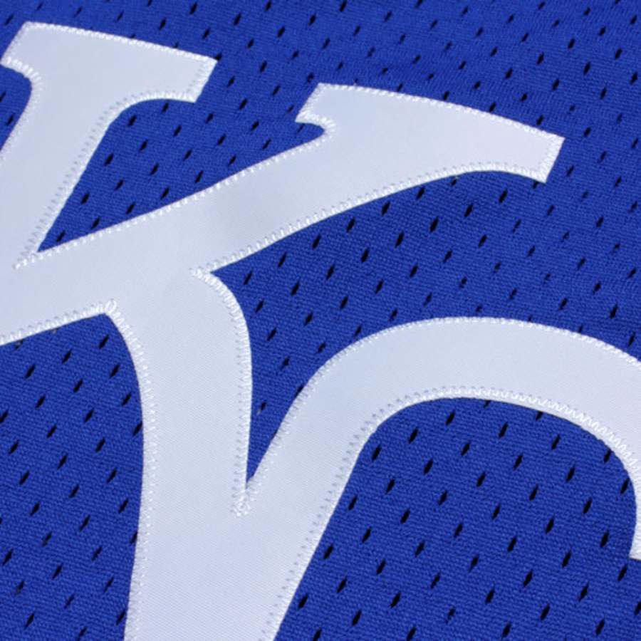 Kansas City Royals Bo Jackson Mitchell & Ness Royal 1989 Authentic Batting Mesh Practice Jersey