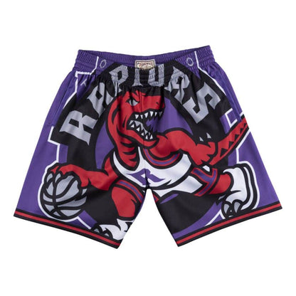 Mitchell & Ness 1998 Toronto Raptors Big Face Shorts