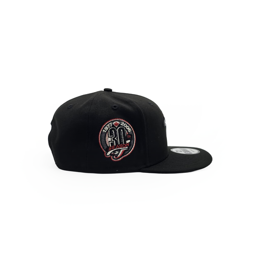 New Era Toronto Blue Jays "30th Season" 9fifty Snapback Black
