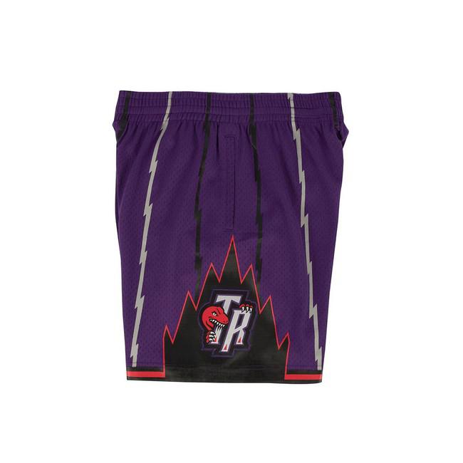 Toronto Raptors 1998 - 99 Mitchell & Ness Purple Swingman Shorts