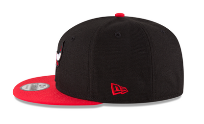 2Tone New Era Chicago Bulls Gray Bottom 9Fifty Snapback