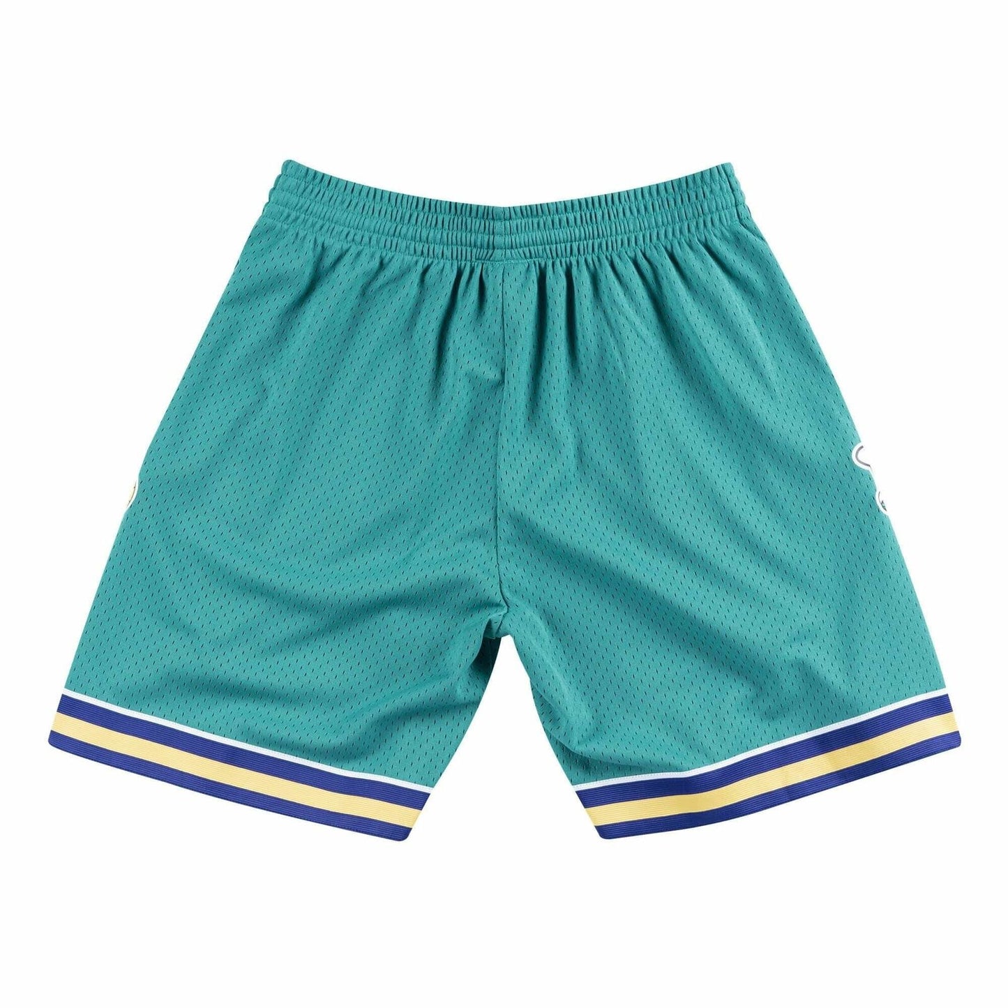 Charlotte Hornets 2005- 06 Mitchell & Ness Swingman Shorts