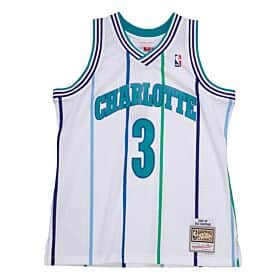 Charlotte Hornets Rex Chapman Mitchell & Ness White 1988-89 Hardwood Classics Swingman Jersey