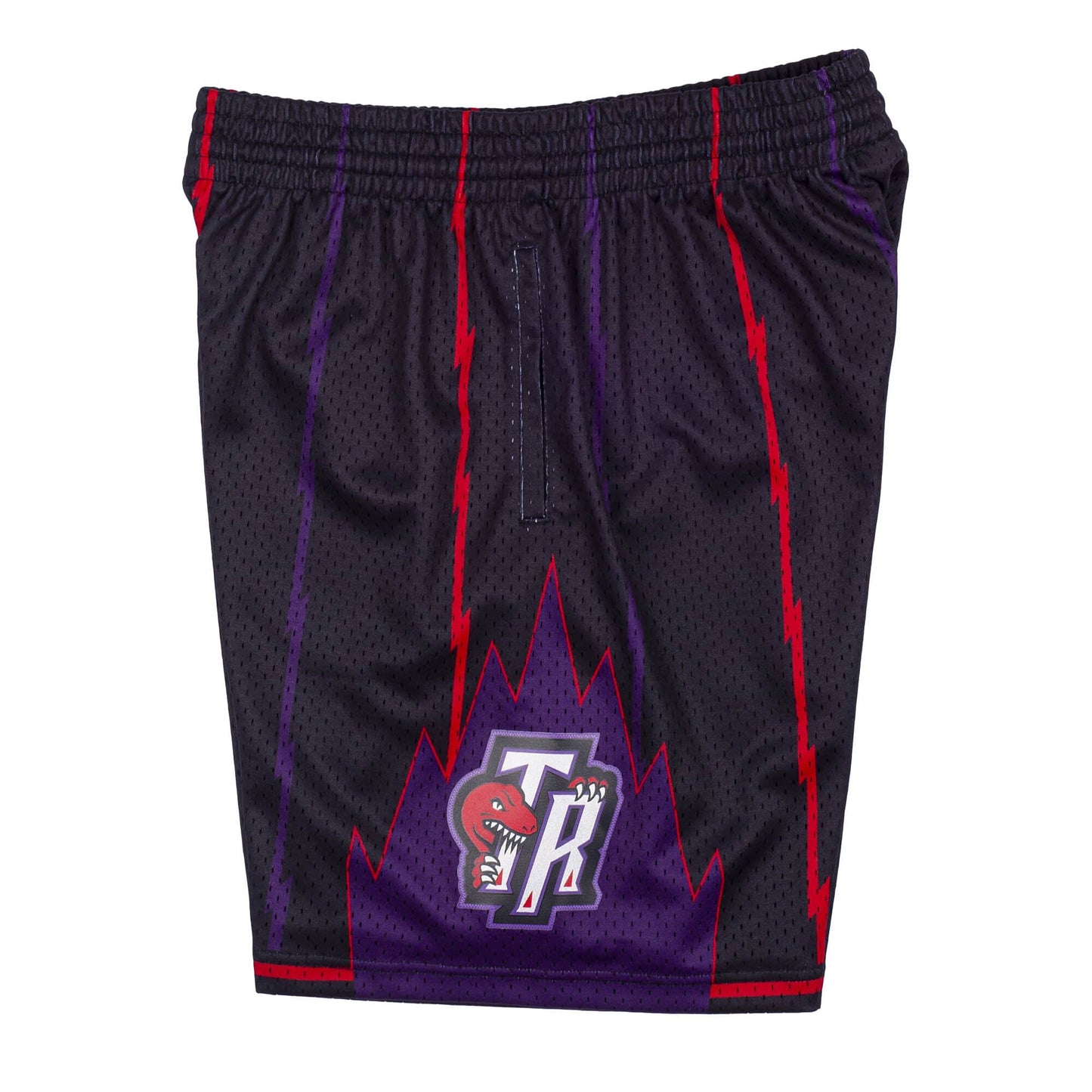 Toronto Raptors 1998 - 99 Mitchell & Ness Black Swingman Shorts