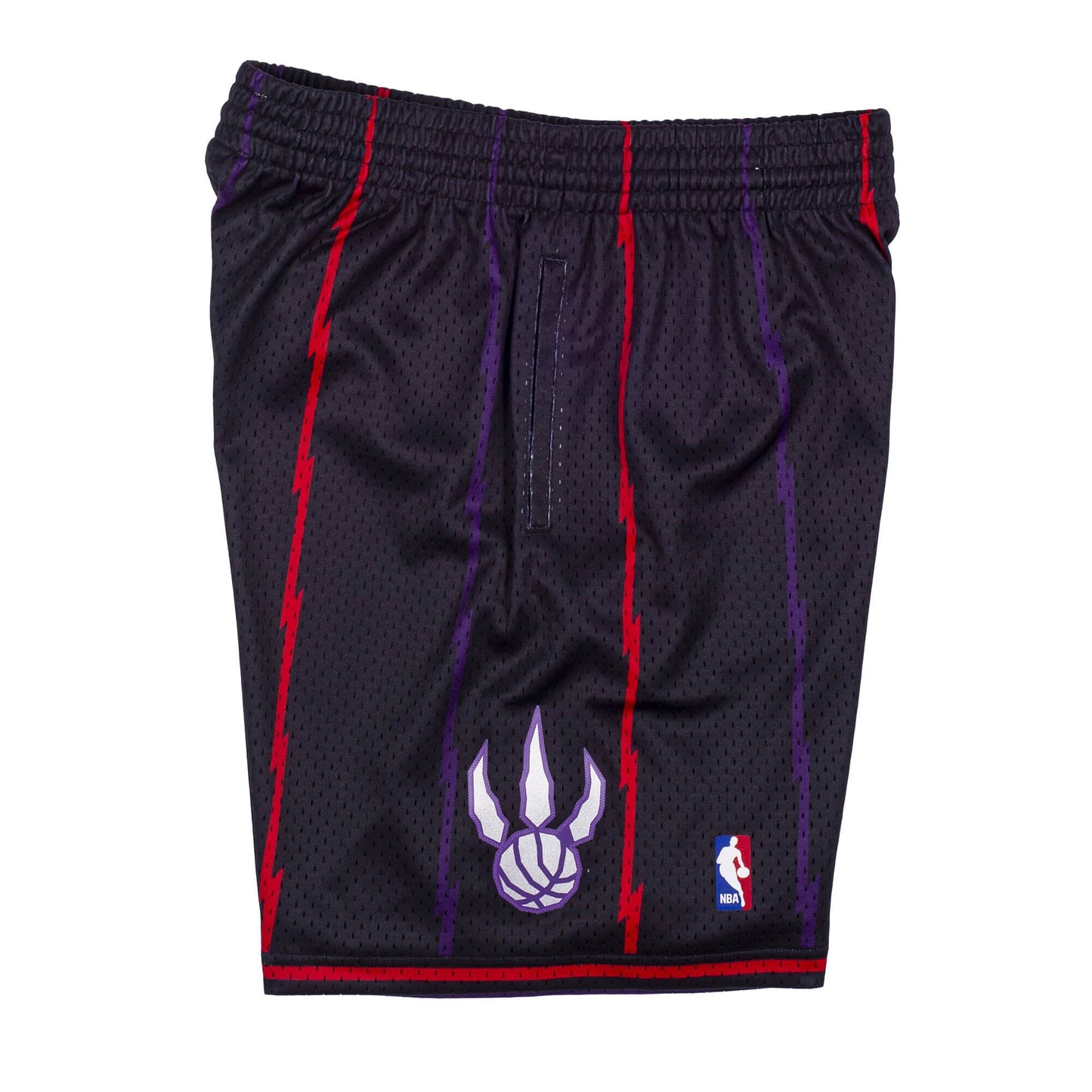 Toronto Raptors 1998 - 99 Mitchell & Ness Black Swingman Shorts